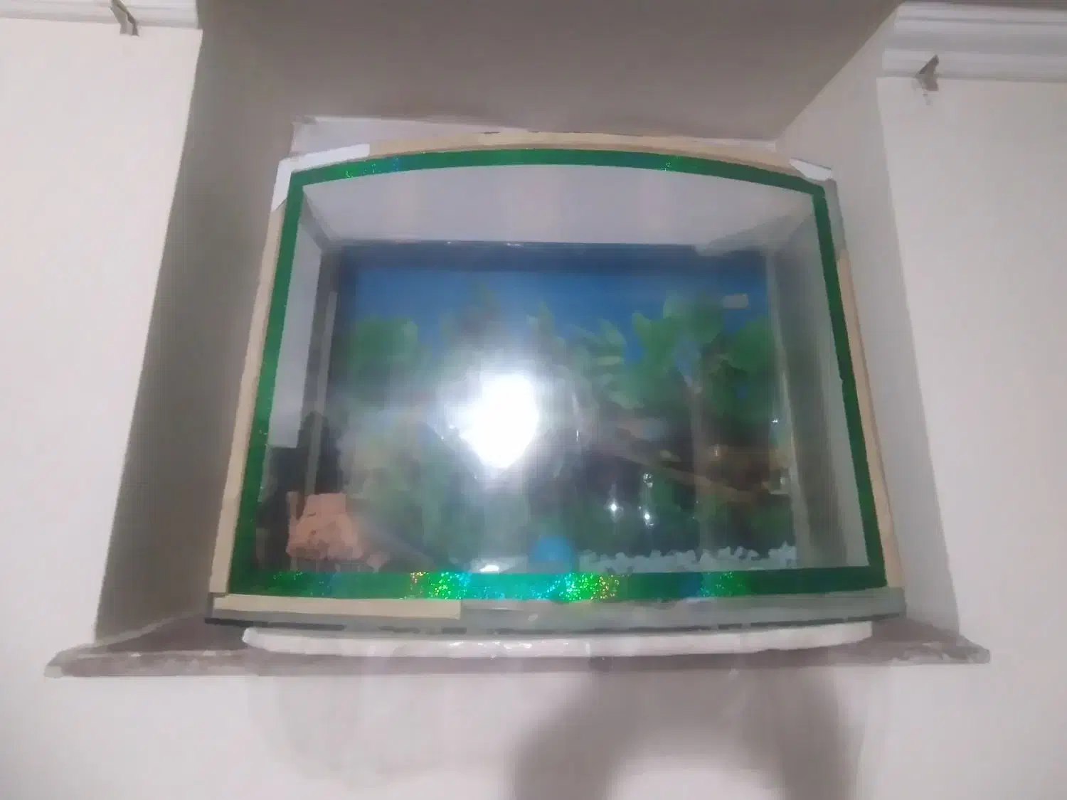 آکواریوم|ماهی|مراغه, |دیوار