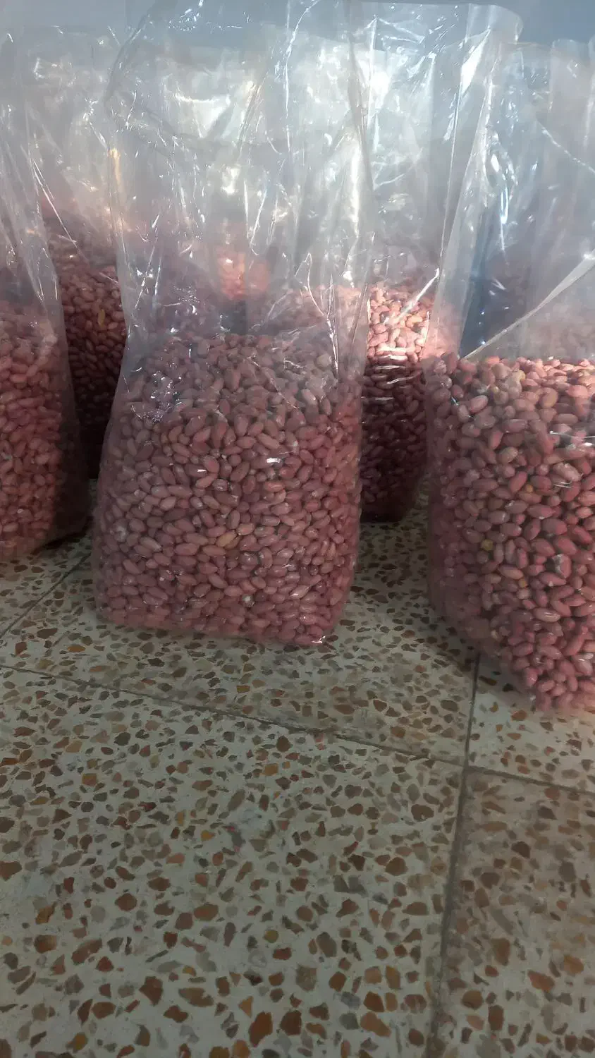 فروش بادام زمینی|خوردنی و آشامیدنی|قشلاق دشت, |دیوار