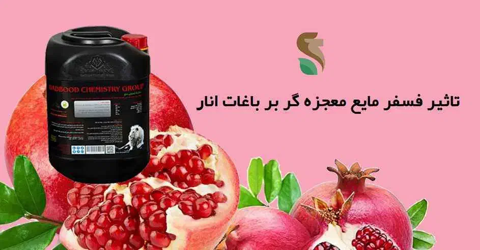 کود فسفر مایع معجزه گر  20 لیتری|خدمات باغبانی و درختکاری|آق قلا, |دیوار