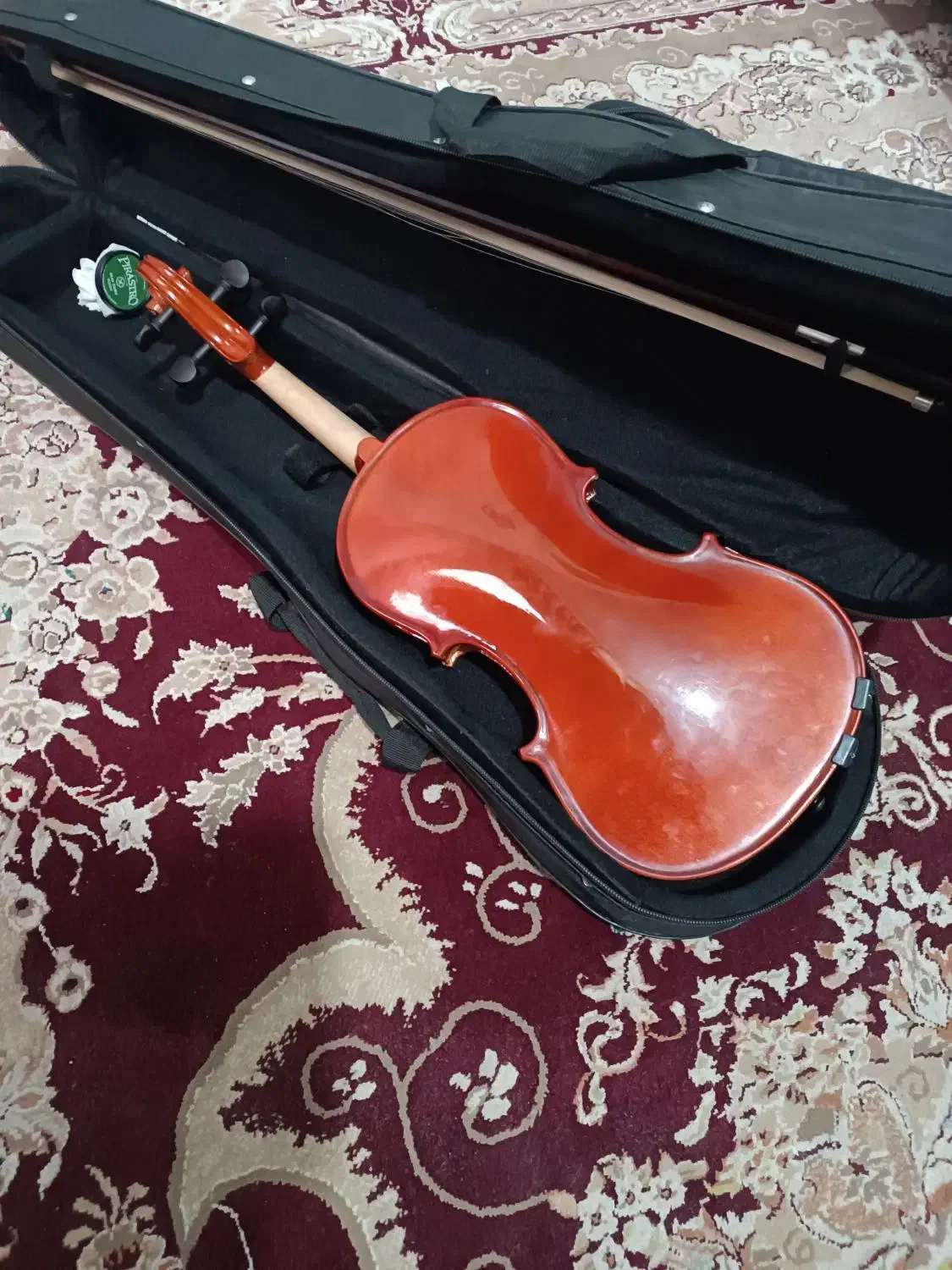 ویلون|ویولن|مشهد, شهید قربانی|دیوار