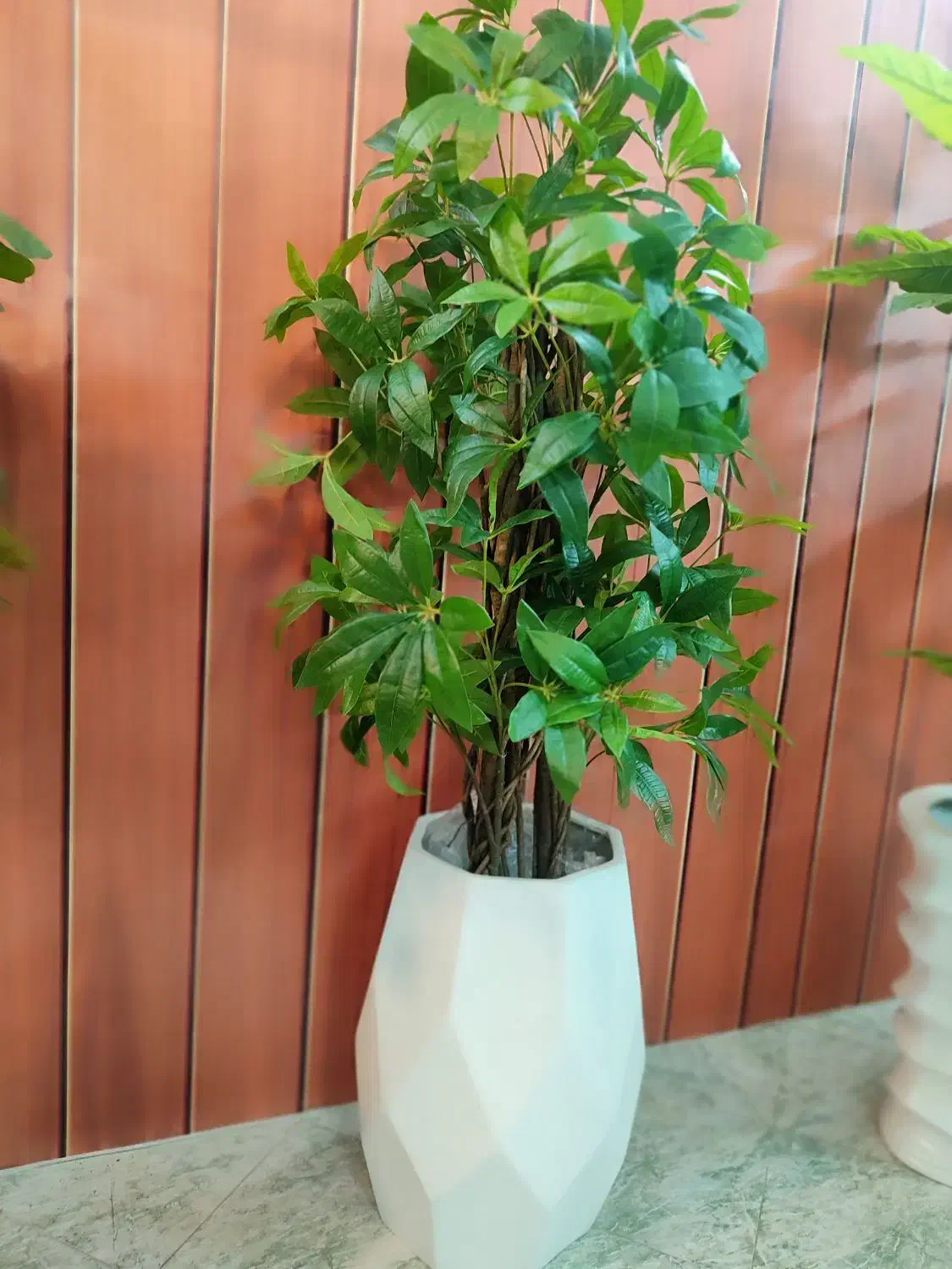 گل لمسی پاچیرا مصنوعی درجه یک خاص خانه هتل کافه|گل مصنوعی|مشهد, ولیعصر (شهرک غرب)|دیوار