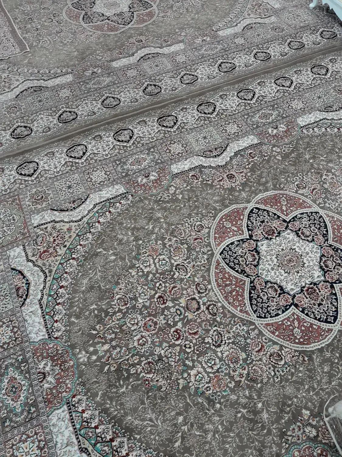 فرش12 متری|فرش|تربتحیدریه, پائین ولایت|دیوار