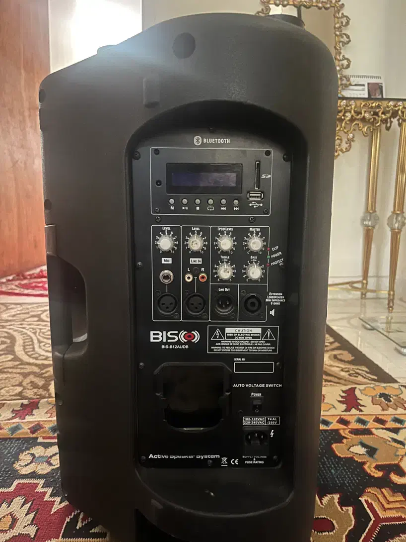 باند اکتیو و پستیو یک جفت صدا عالی|سیستم صوتی خانگی|فردیس, شهرک ۱۱۰|دیوار