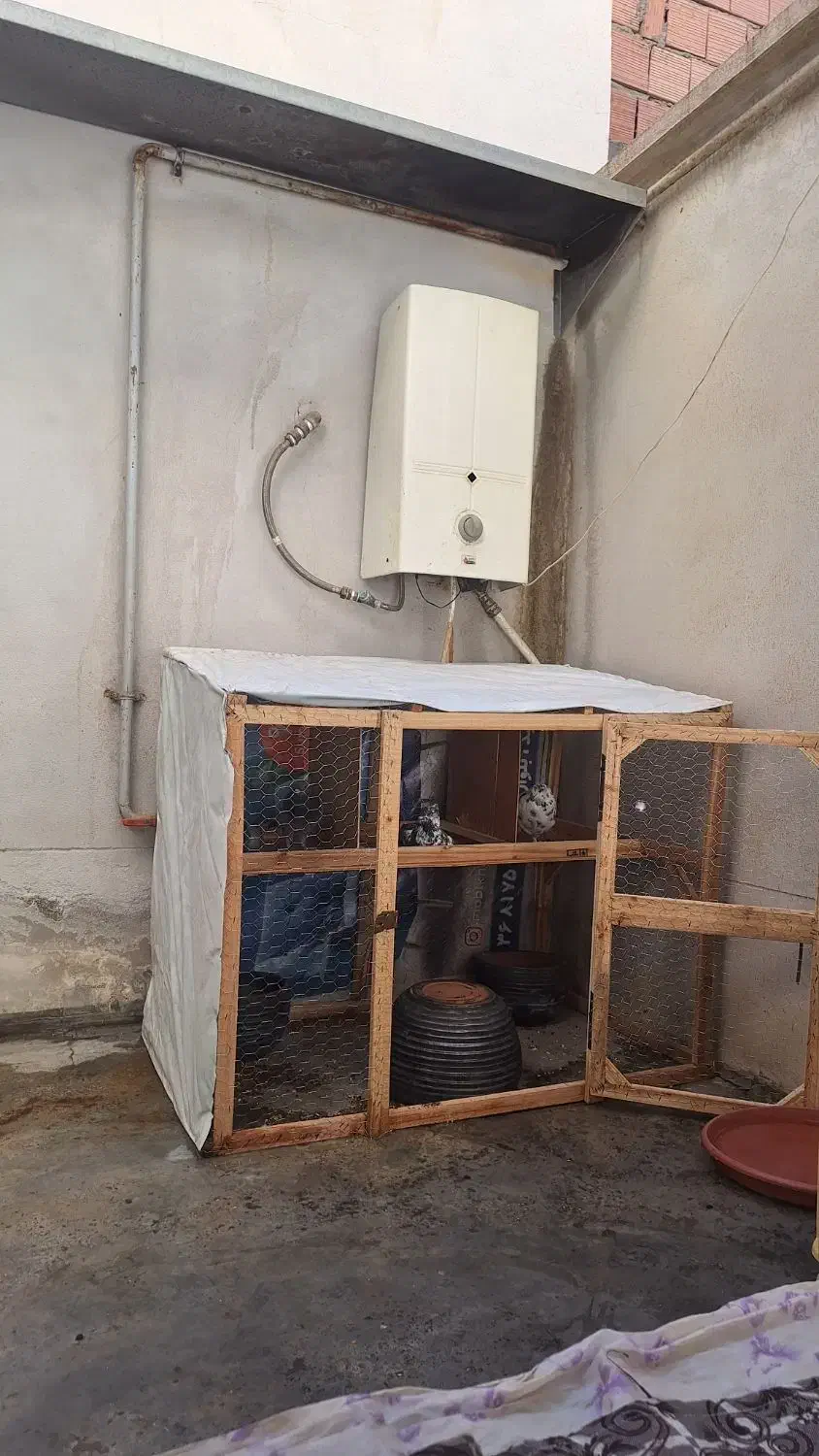 فقس مرغ،کفتر|لوازم جانبی حیوانات|گنبد کاووس, |دیوار