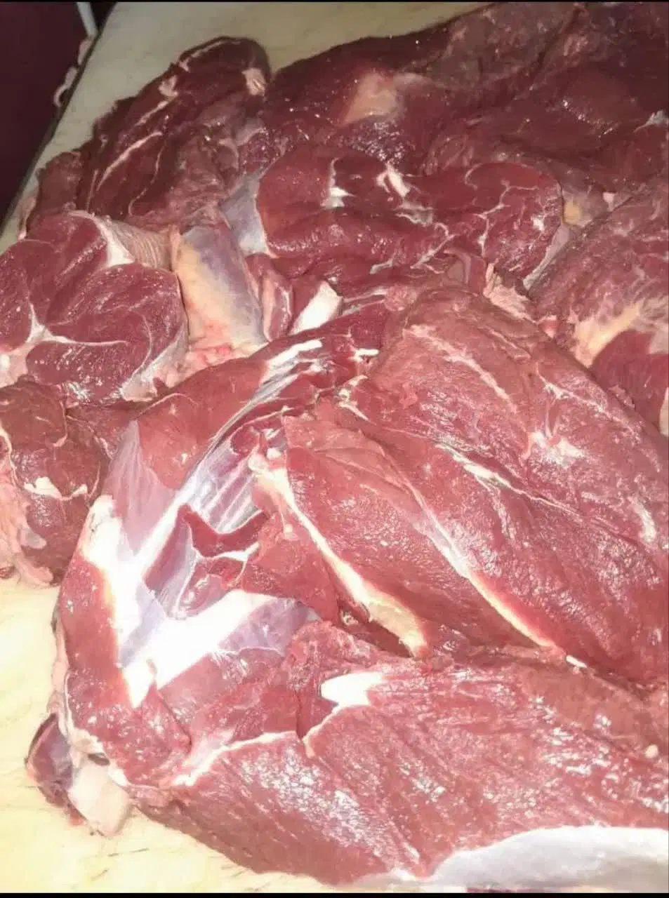توزیع عمده گوشت ماده گاو (عمده )|عمدهفروشی|تهران, زیبادشت|دیوار