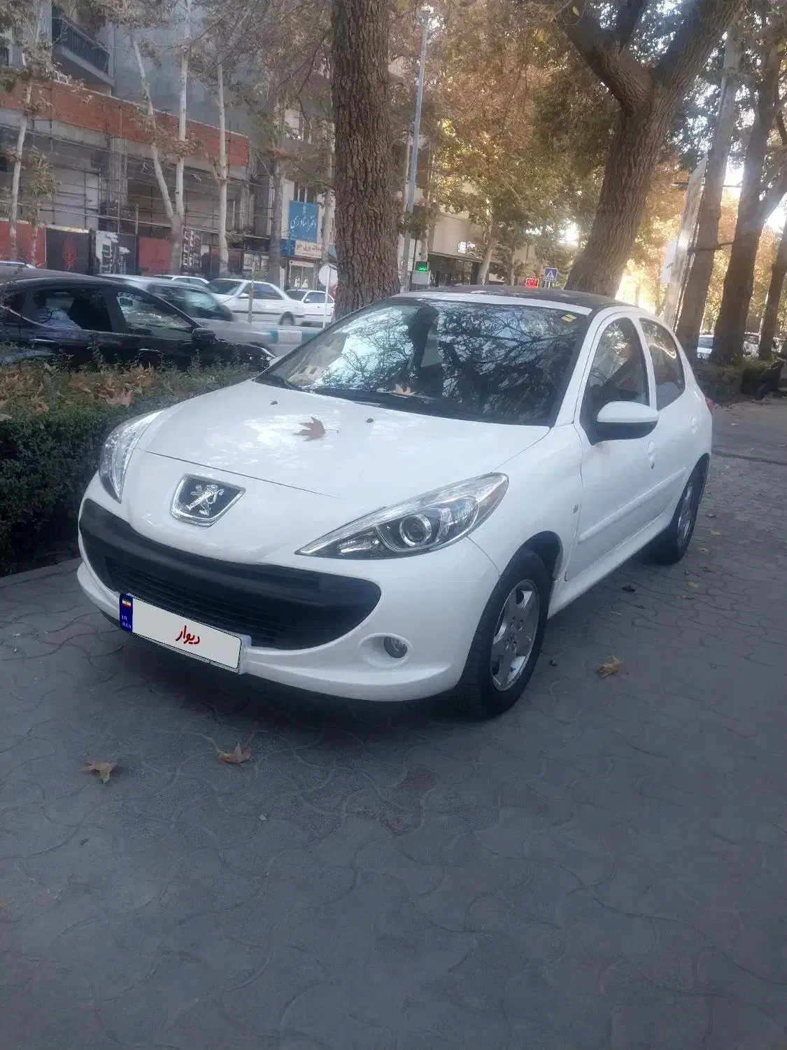 ۲۰۷ پانورما مدل ۱۴۰۳|خودرو سواری و وانت|بجنورد, |دیوار