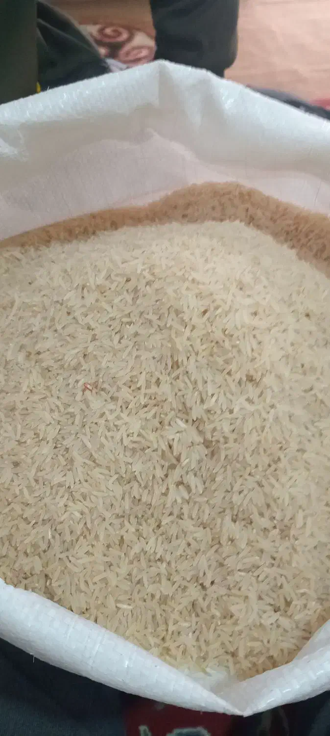 برنج محلی فجر سوزنی|خوردنی و آشامیدنی|سیمین شهر, |دیوار