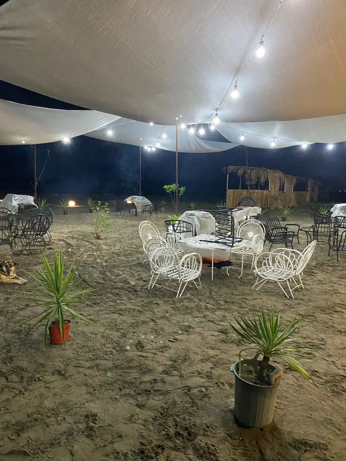 فروش انواع صندلی رستورانی و ویلایی و سماور|کافی‌شاپ و رستوران|تنکابن, |دیوار