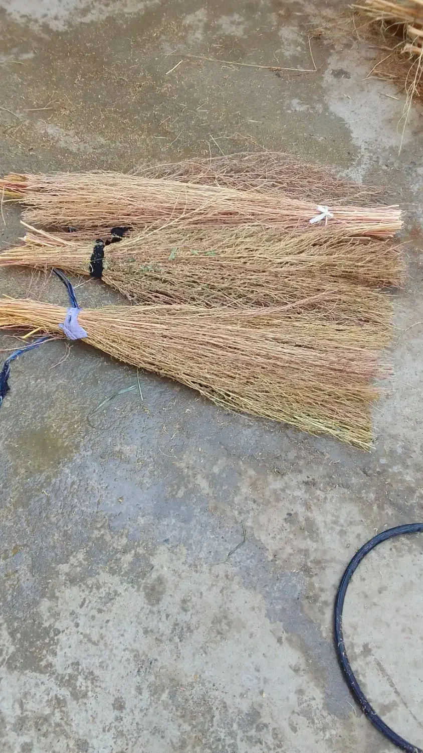 جارو|جاروبرقی، جارو شارژی، بخارشو|نهاوند, |دیوار