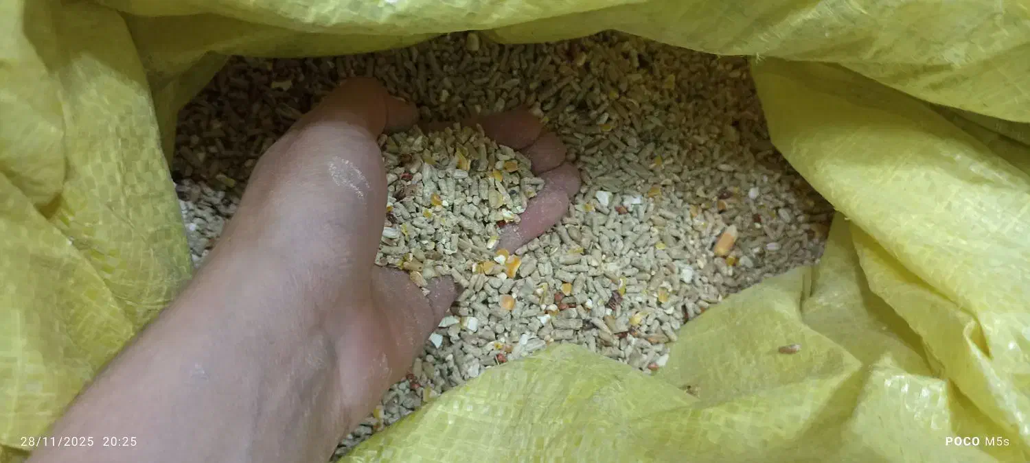 دان|لوازم جانبی حیوانات|تهران, شهید رجایی|دیوار