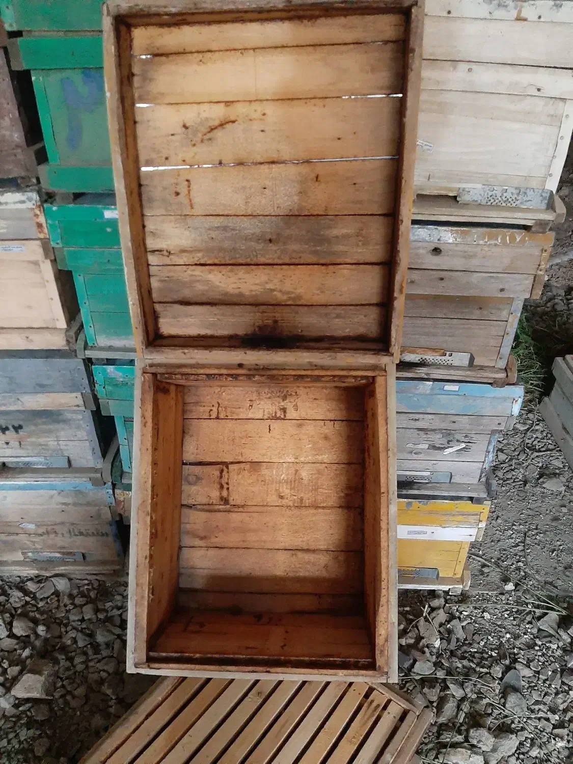 کندو زنبور عسل|حیوانات مزرعه|سنندج, |دیوار