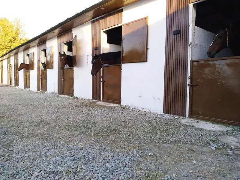 کارگر اسب در باشگاه سوارکاری 2 نفر|استخدام سرایداری و نظافت|شهریار, شهریار|دیوار