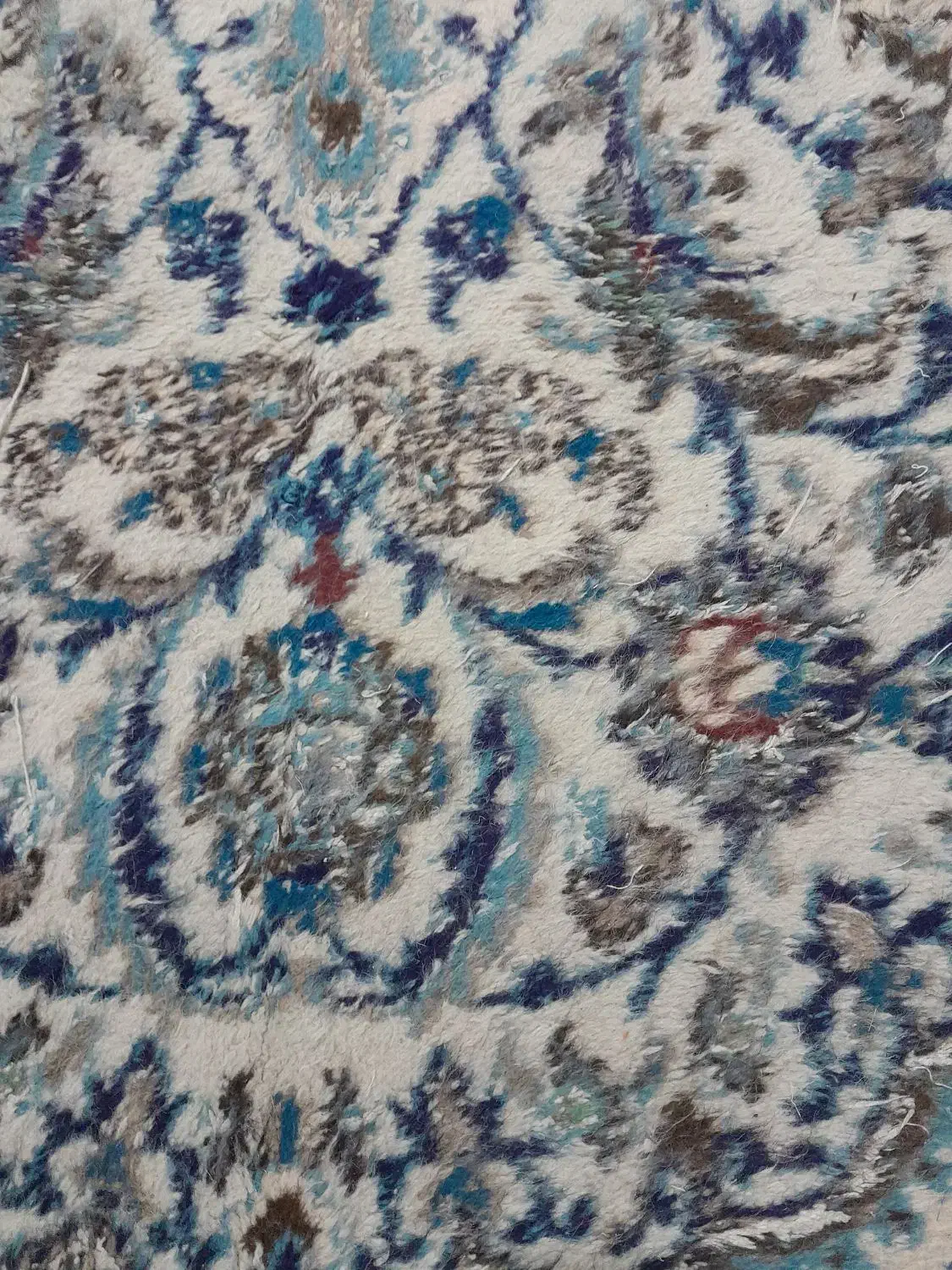 فرش دستبافت نو پرداخت نشده|فرش|مشهد, عبادی|دیوار