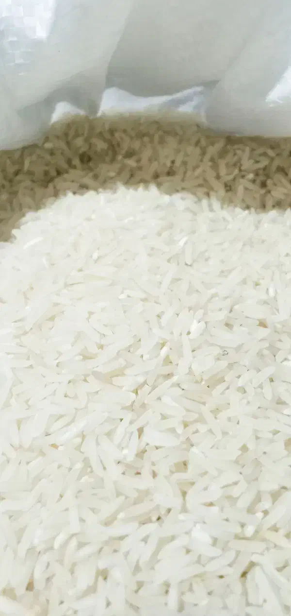 برنج فجر سوزنی ۹۰ روزه|خوردنی و آشامیدنی|گرگان, |دیوار