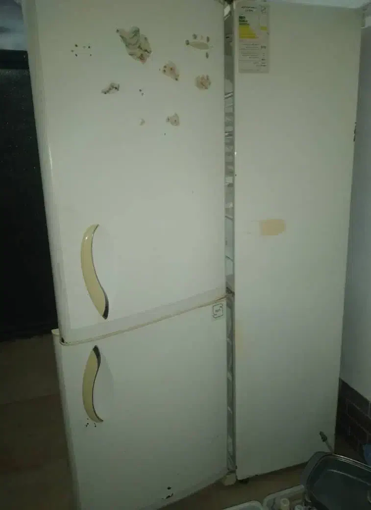 یخچال و فریزر|یخچال و فریزر|املش, |دیوار