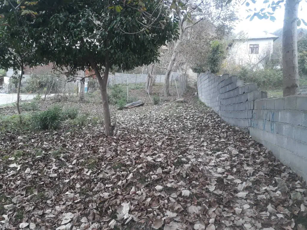 فروش زمین ۶۰۰متر|فروش زمین و ملک کلنگی|آلاشت, |دیوار