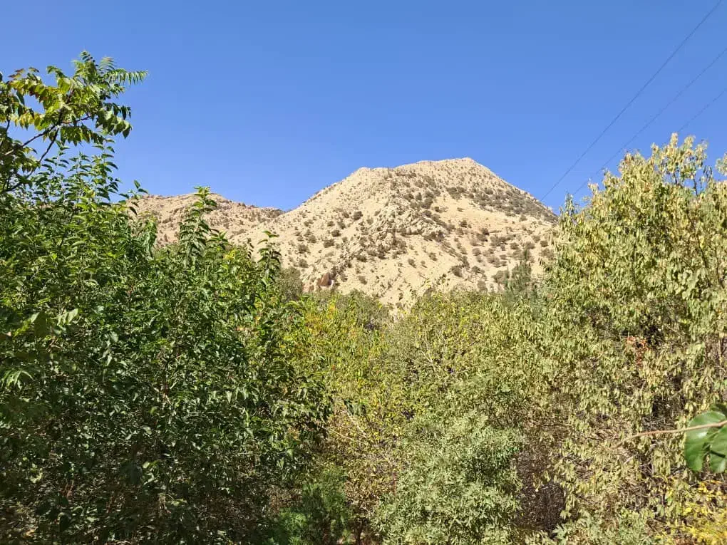 فروش باغ سراب قنبر|فروش دفتر صنعتی، کشاورزی، تجاری|کرمانشاه, |دیوار