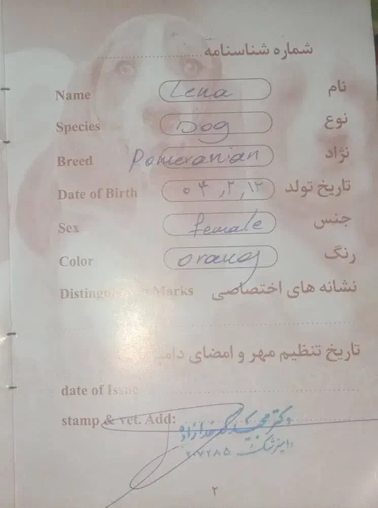 واگذاری نژاد پامر|سگ|رباطکریم, رباطکریم|دیوار