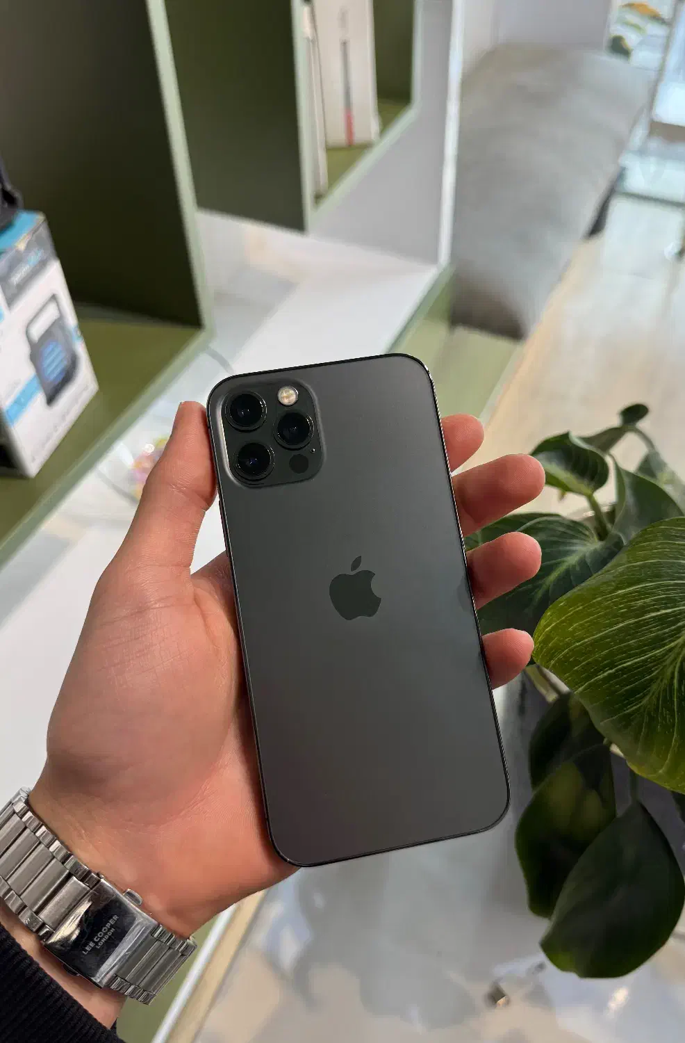 آیفون ۱۲ پرو|موبایل|رشت, دیلمان|دیوار