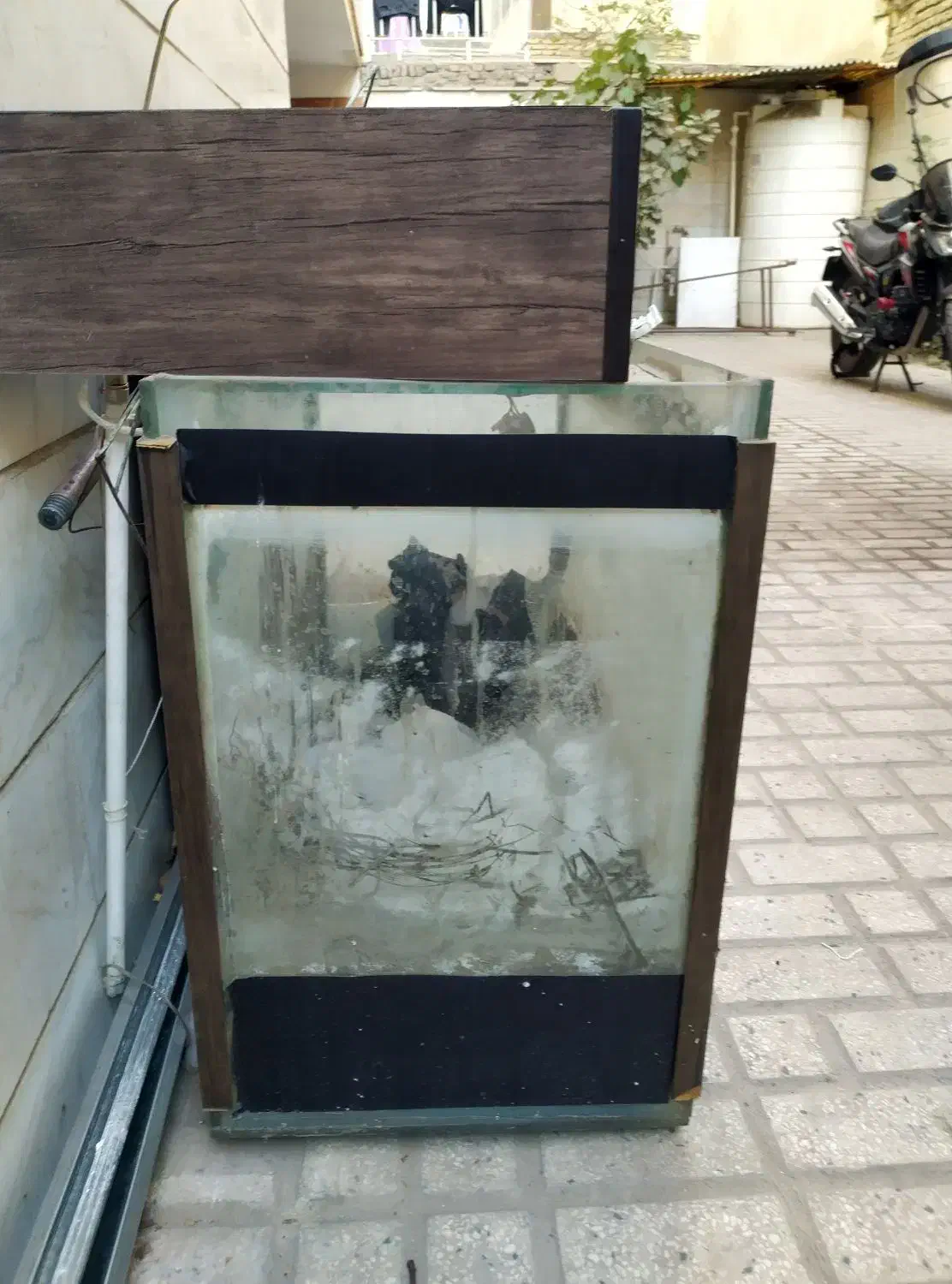 اکواریوم شیشه ۱۰ میل|ماهی|تهران, مسعودیه|دیوار