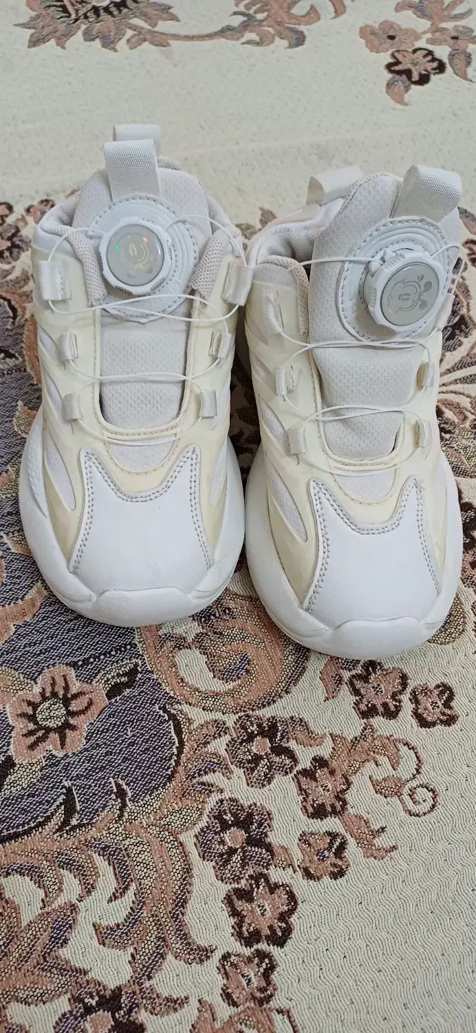 کتونی اسپرت|کیف، کفش، کمربند|باغستان, |دیوار