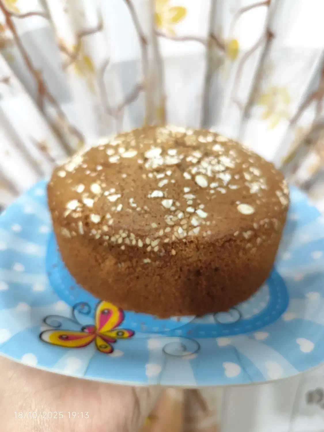 کیک های عصرانه مخصوص کافه|خوردنی و آشامیدنی|رشت, سلیمانداراب|دیوار