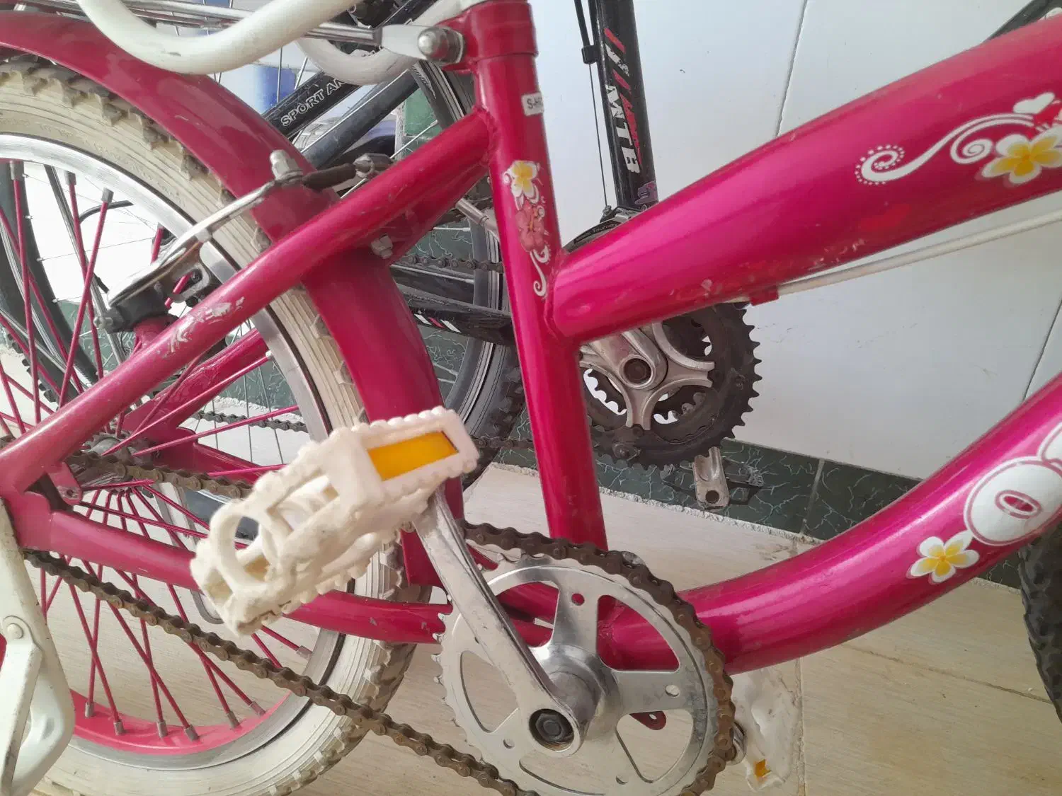 دوچرخه دخترانه و پسرانه|دوچرخه، اسکیت، اسکوتر|قم, ولیعصر|دیوار