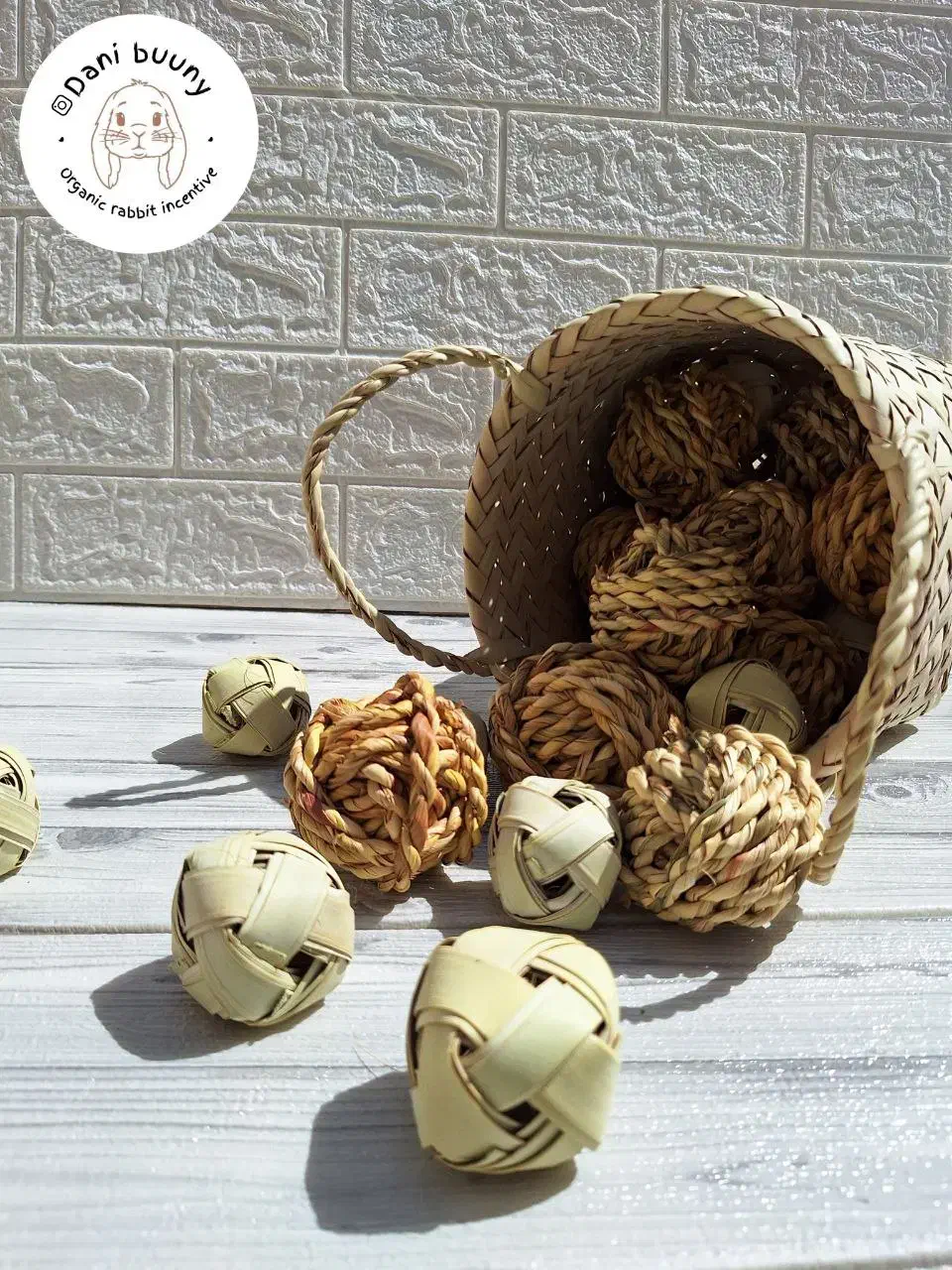 پت شاپ خرگوشی|لوازم جانبی حیوانات|تهران, بازار|دیوار