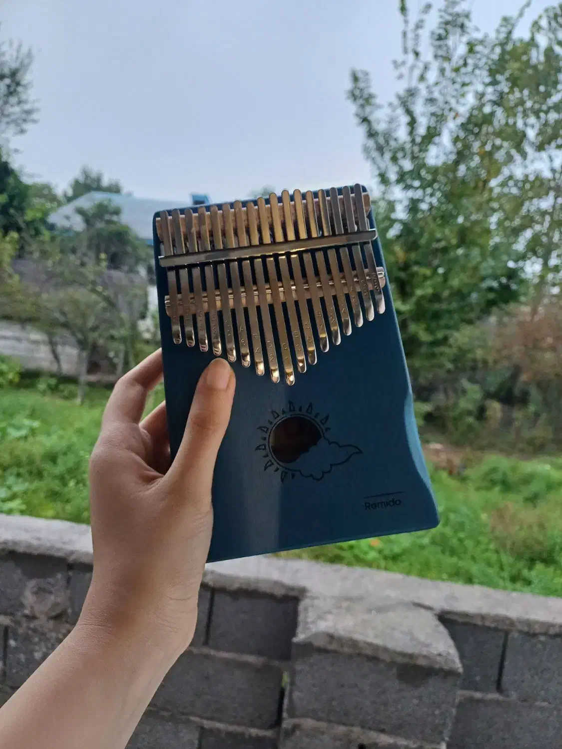 کالیمبا طرح ابر و خورشید|پیانو، کیبورد، آکاردئون|سیاهکل, |دیوار