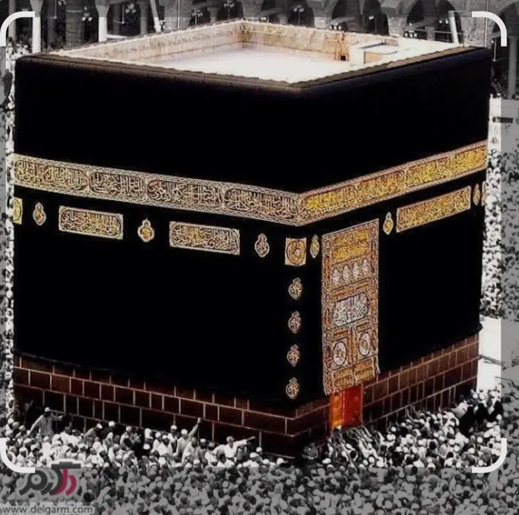 ۳ عدد فیش عمره ۶۰ میلیون|حراج|آستارا, |دیوار