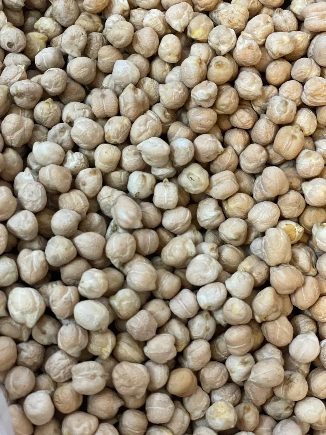 حبوبات|عمده‌فروشی|قم, باجک یک|دیوار