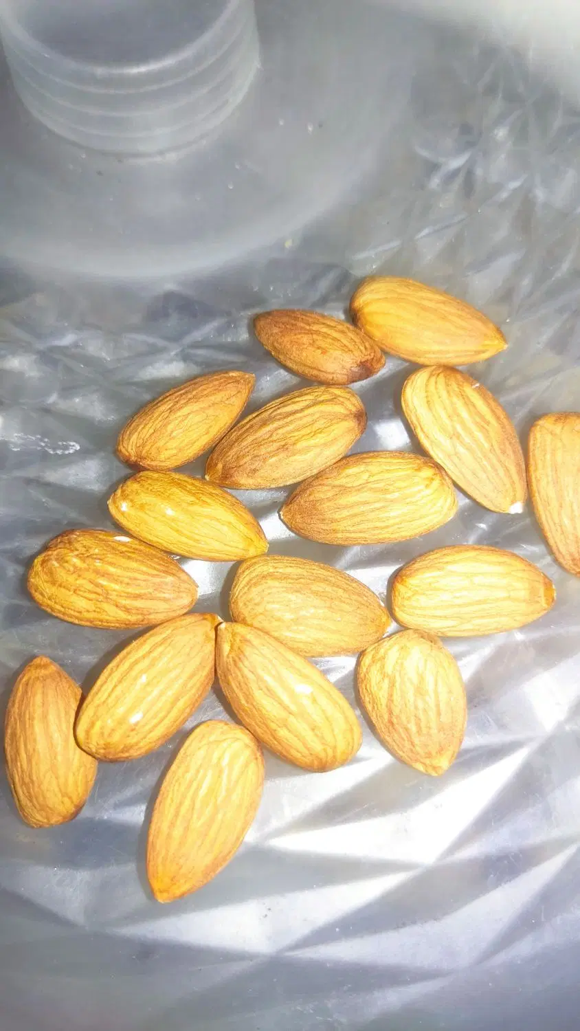 بادام درختی زرین|خوردنی و آشامیدنی|اهواز, کمپلو جنوبی|دیوار