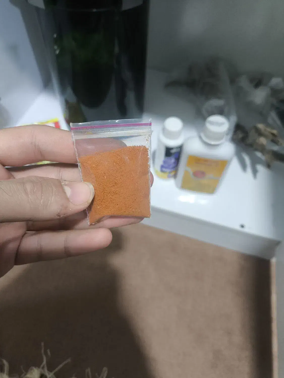 غذای ماهی|ماهی|زابل, |دیوار