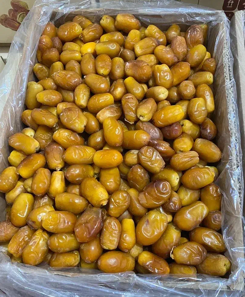 رطب زاهدی(قصب)|خوردنی و آشامیدنی|قیروکارزین, |دیوار