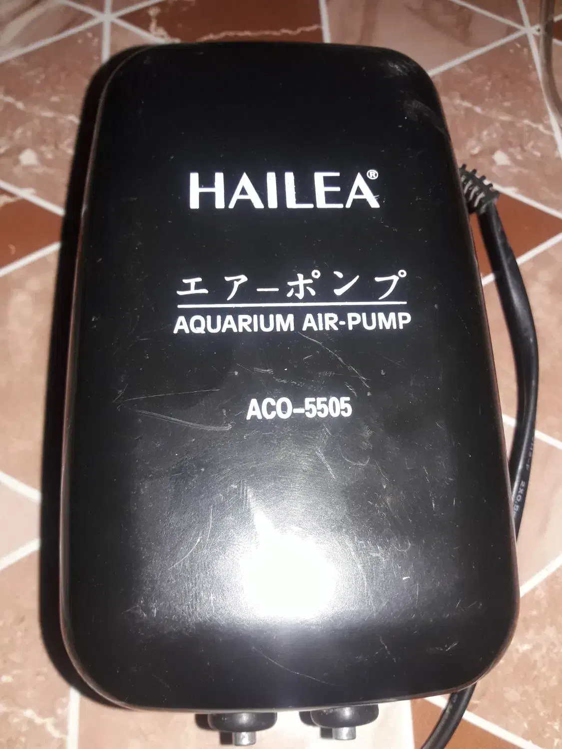 اکسیژن اکواریوم|ماهی|ری, جوانمرد قصاب|دیوار