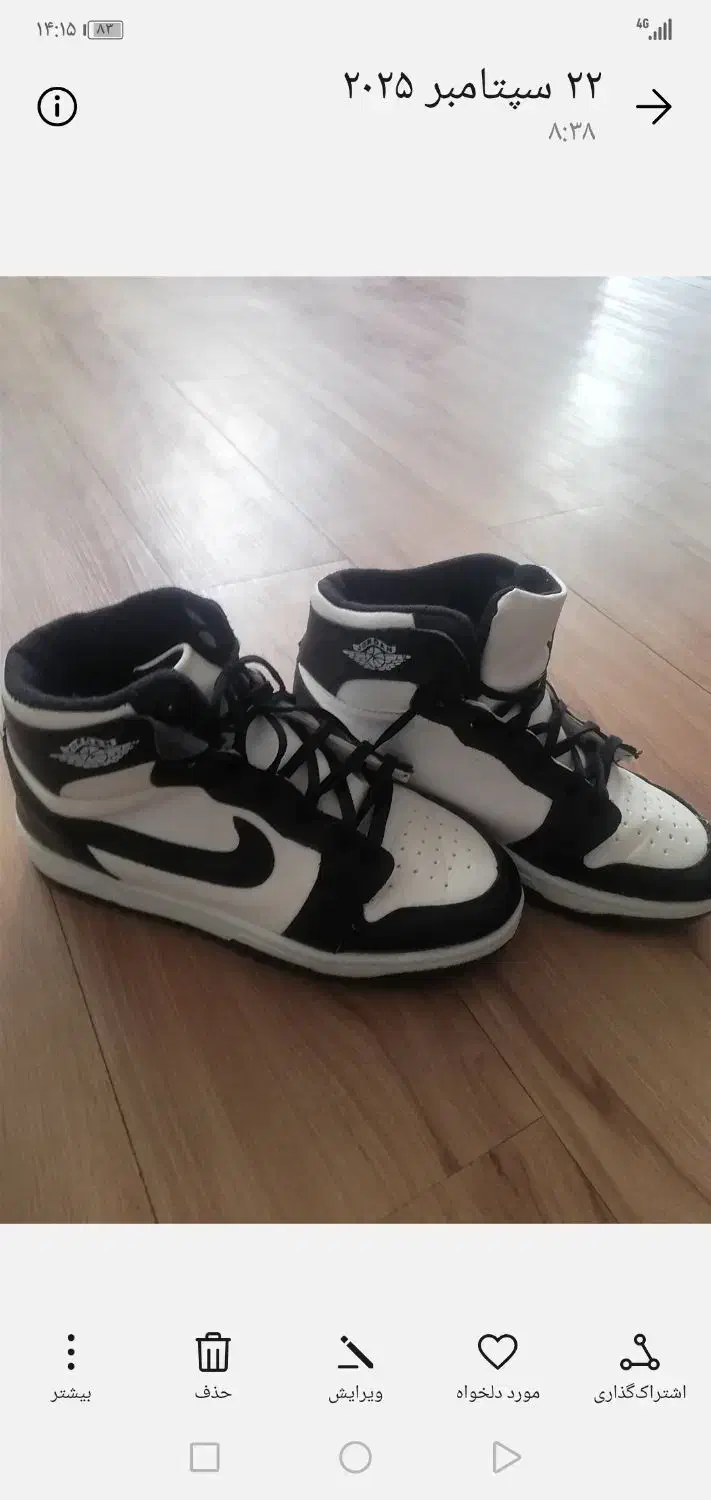 کفش|کیف، کفش، کمربند|شیروان (خراسان), |دیوار