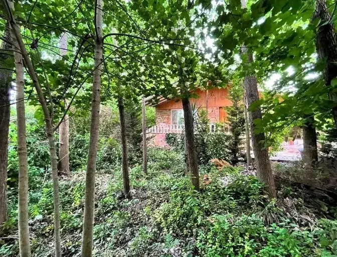 ویلاباغ500متری%چند قدمی جنگل% 1mکلیدتحویل*|فروش خانه و ویلا|هچیرود, |دیوار