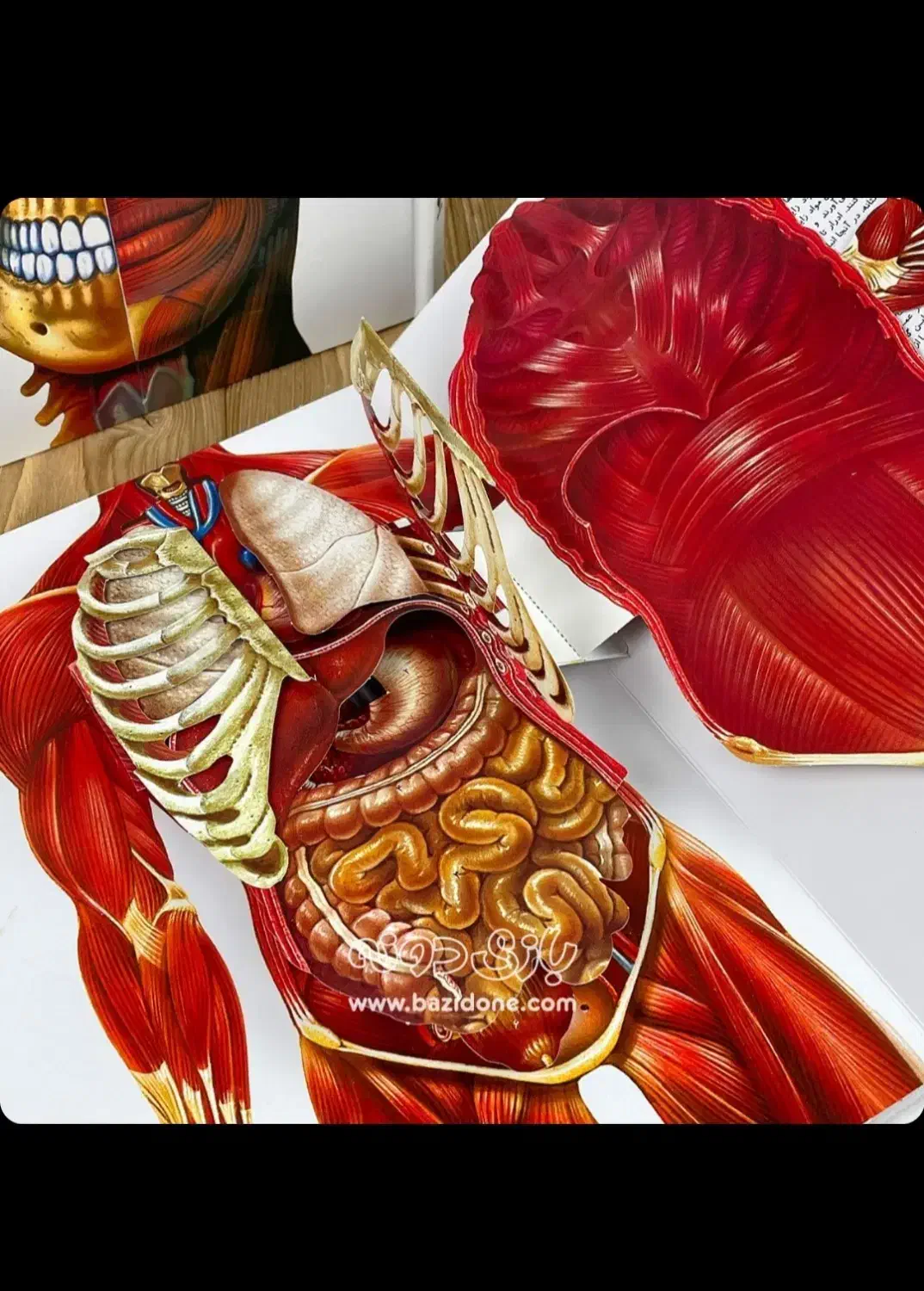 کتاب خوانی کودک و نوجوان|خدمات آموزشی|گرگان, |دیوار