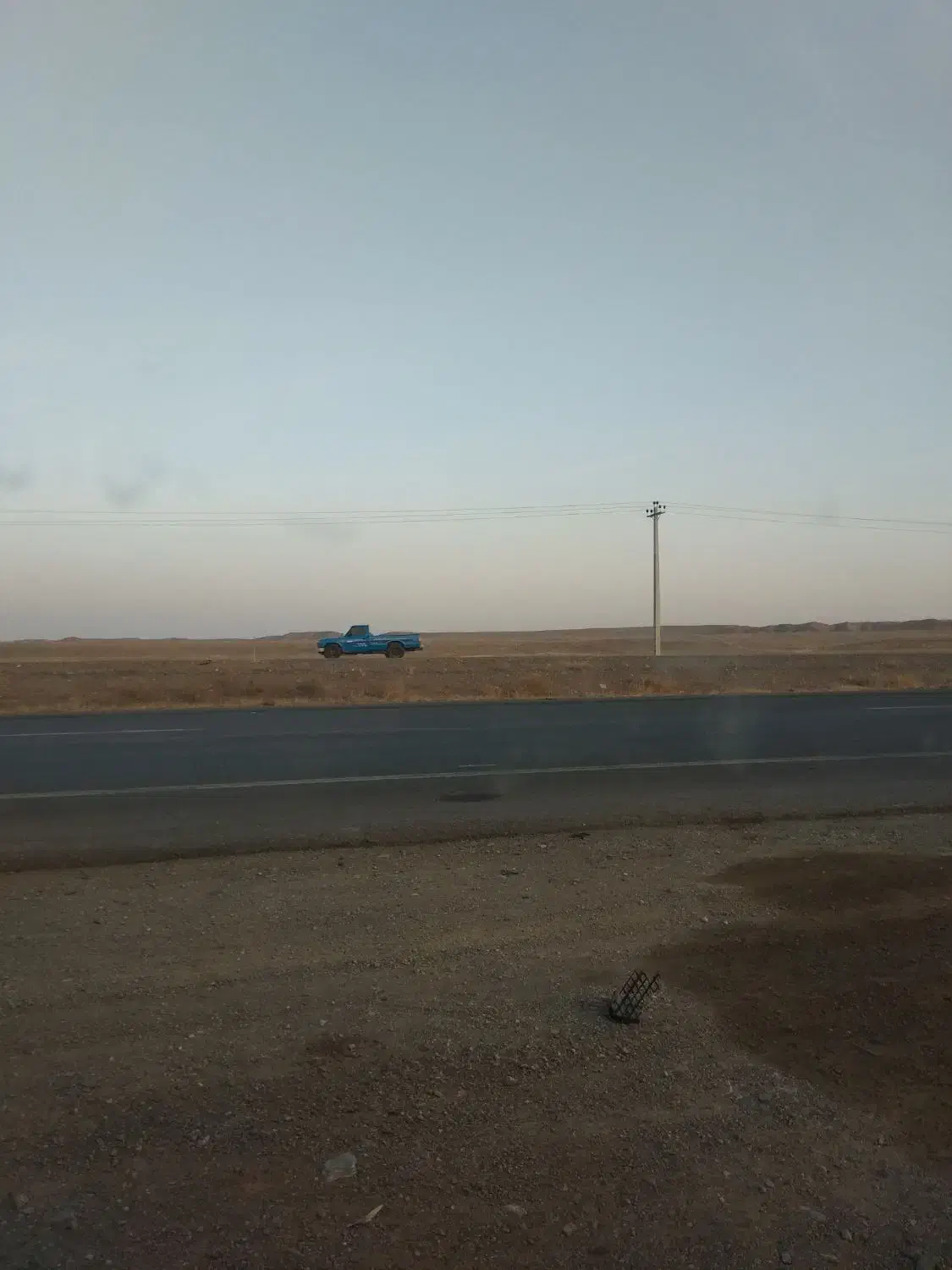 گوسفند گمشده در میدان یولاگلدی|حیوانات|قره قوین, |دیوار