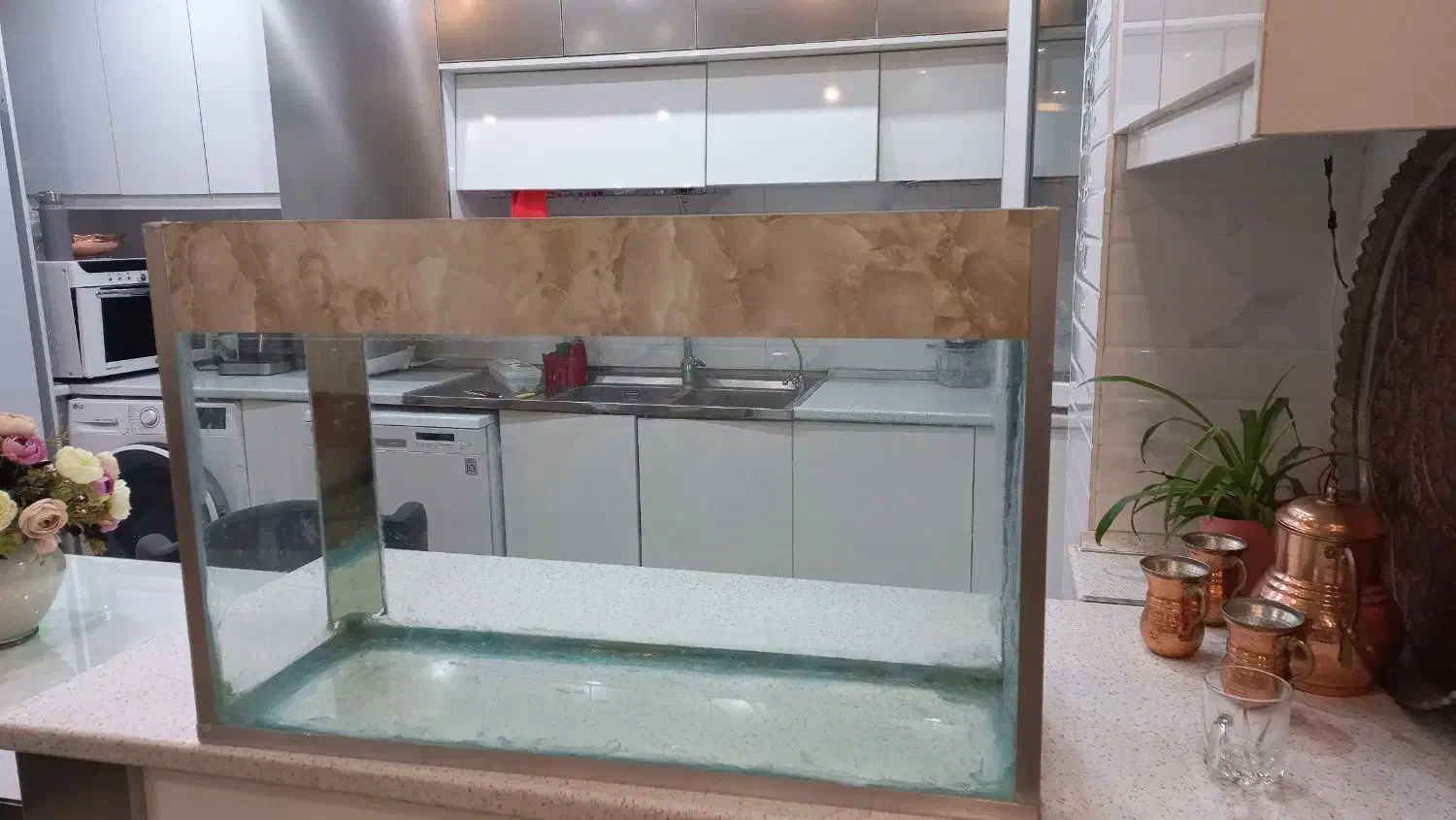 آکواریوم|ماهی|زنجان, |دیوار