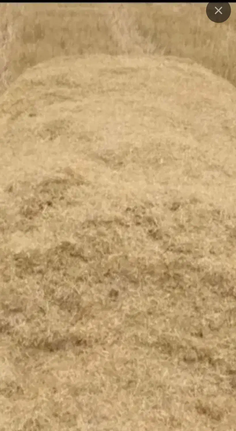 کاه دیم|عمدهفروشی|ماهیدشت, |دیوار