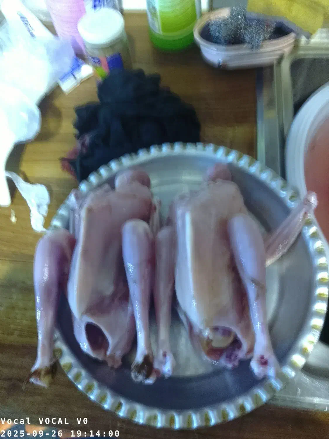 جوجه  محلی|حیوانات مزرعه|صومعه‌سرا, |دیوار