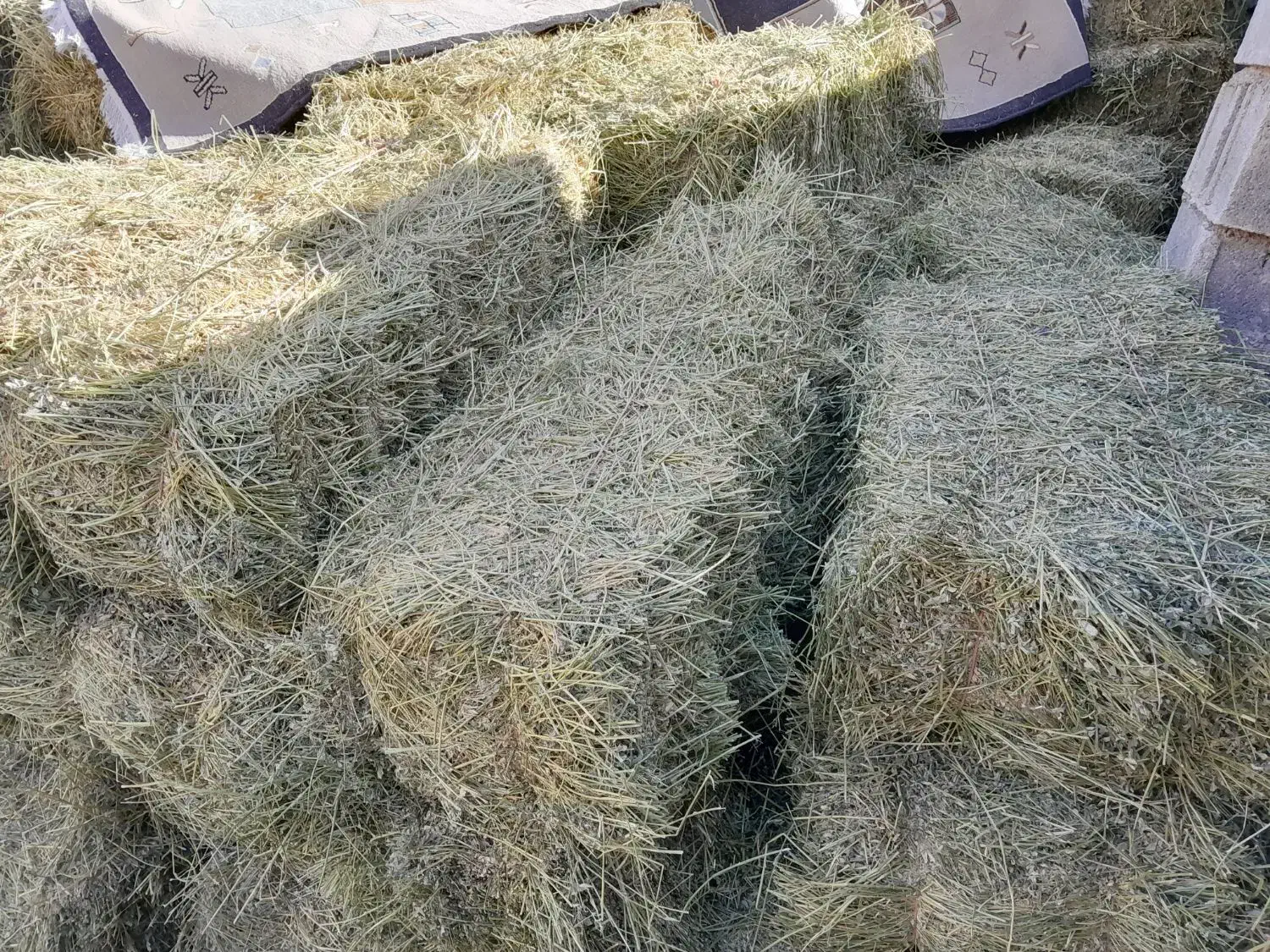 یونجه|حیوانات مزرعه|سرپل ذهاب, |دیوار