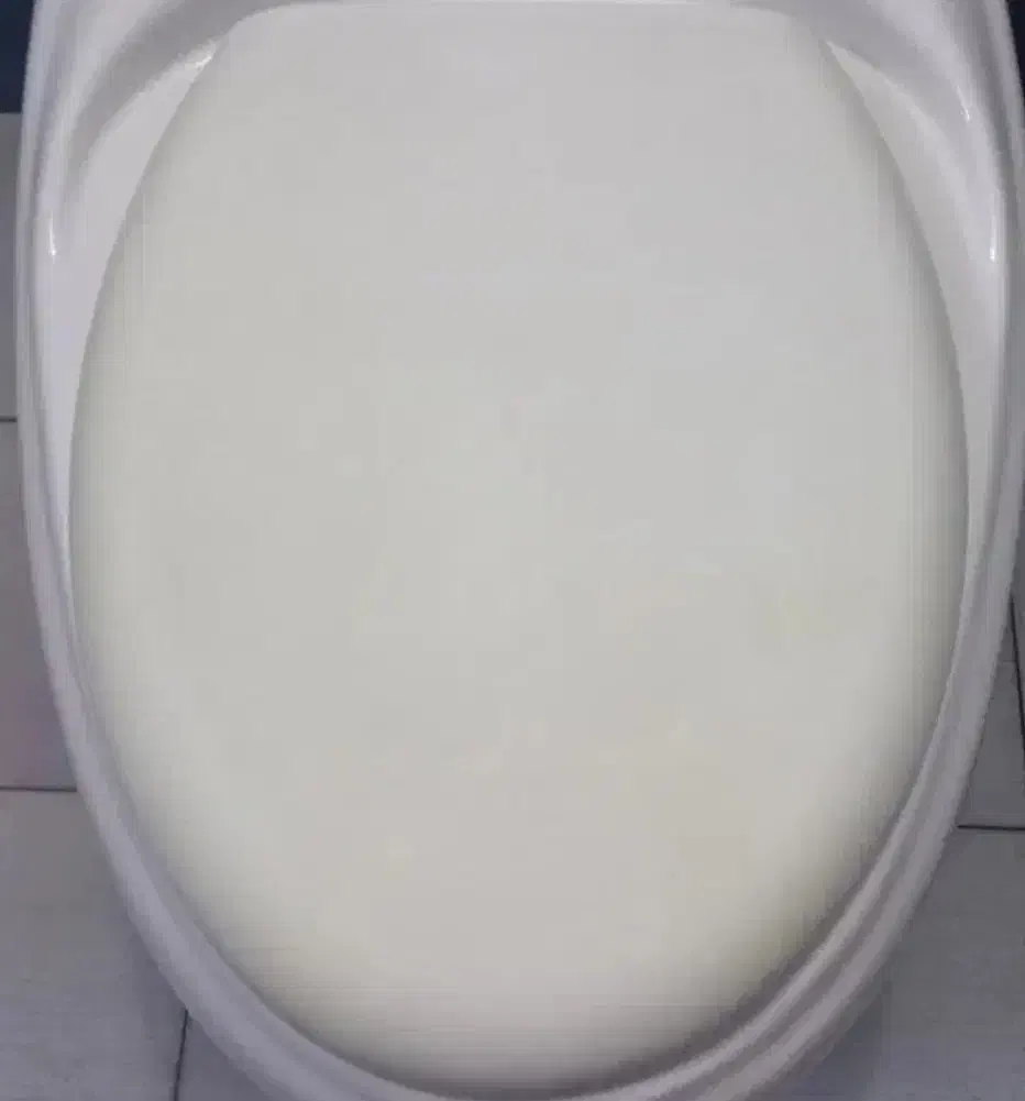 توالت فرنگی برازجان|لوازم سرویس بهداشتی|برازجان, |دیوار