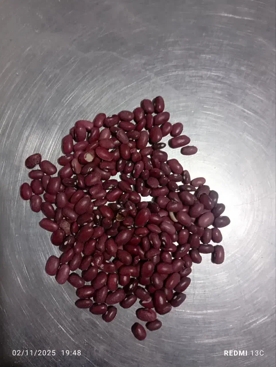 لوبیا قرمز بوجاری|عمده‌فروشی|داران, |دیوار