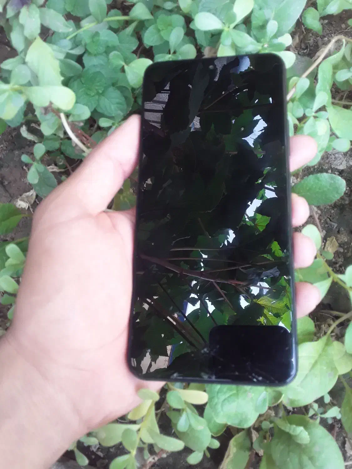 Redmi Note 12|موبایل|اهواز, عین ۲|دیوار