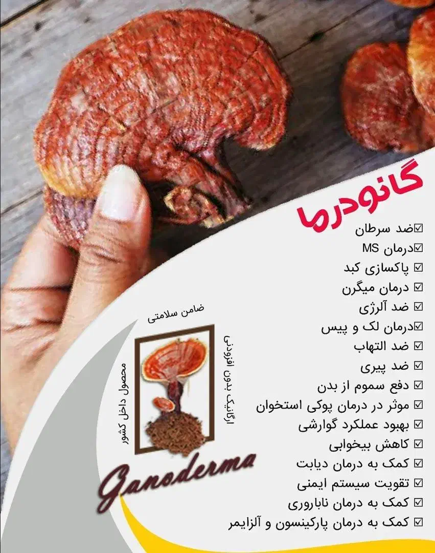 هات چاکلت  گانودرما..اکسیر جوانی|خوردنی و آشامیدنی|شیراز, نشاط|دیوار