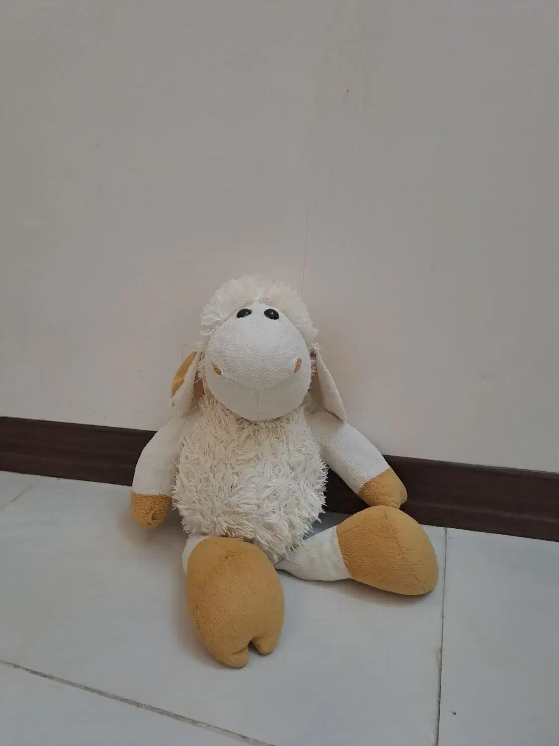 عروسک|اسباب‌‌بازی|نیشابور, سرآب کوشک|دیوار