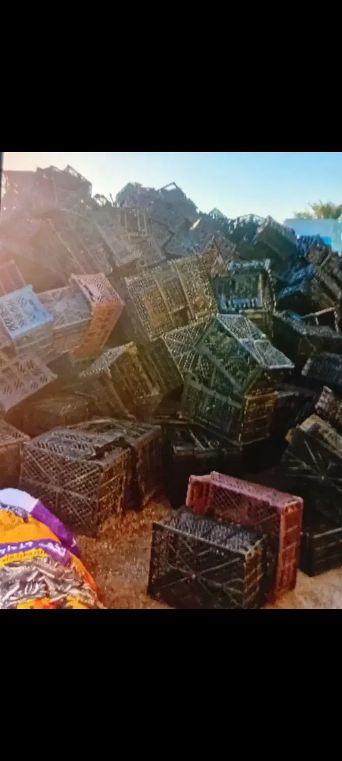 سبدمیوه|عمدهفروشی|خرمشهر, |دیوار