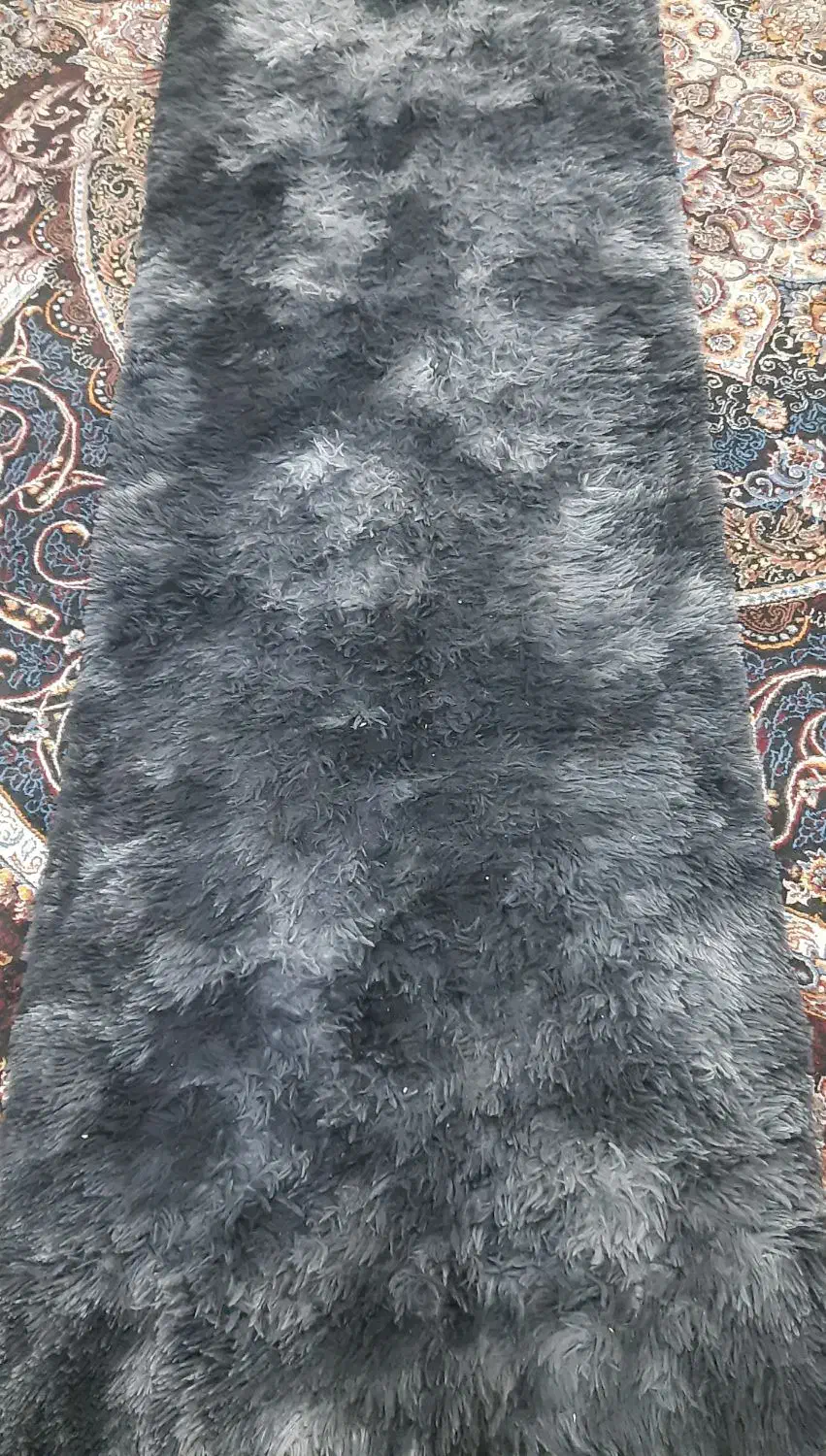 فرش شگی و کناره|فرش|قم, زنبیل آباد|دیوار